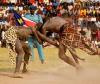 culture of wrestling